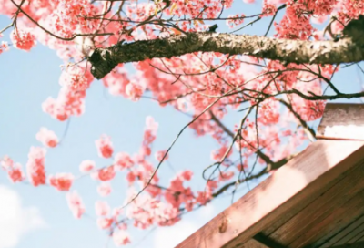 ​书面申请书范文