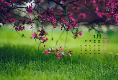 ​爱护草地标语