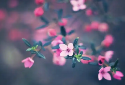 ​钻探专业求职信