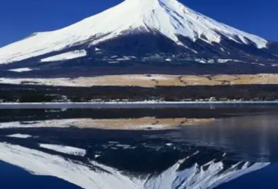 ​平行线教育机构