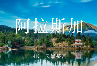 ​创业演讲稿范文精选