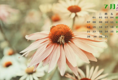 ​疯狂猜成语蚂蚁扛树枝30句