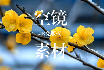 ​全民参与演讲稿范文