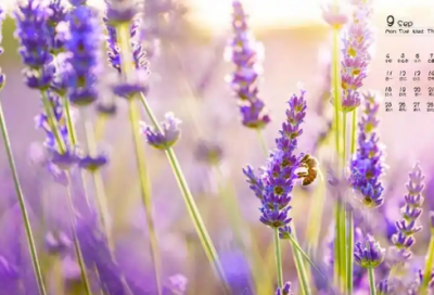 ​适合女孩五行属金的字