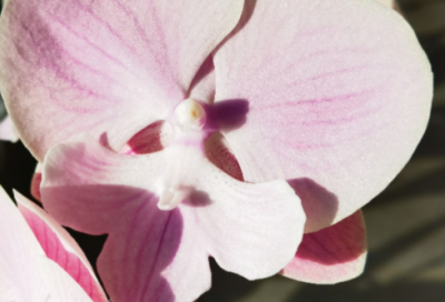 ​媒体相关演讲稿范文