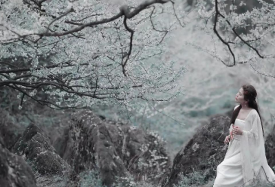 ​如何写出专业的求职信范文