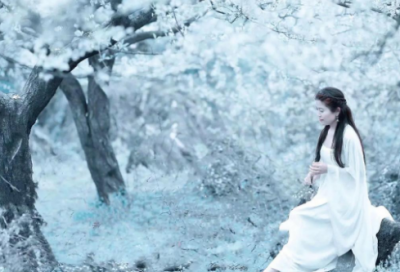 ​求职信书画专业