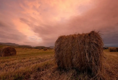 ​兴高采烈地什么精选22句