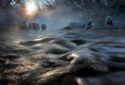 ​关于粮食的故事