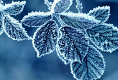 ​名人明言227句