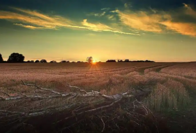 ​百年孤独佳句赏析