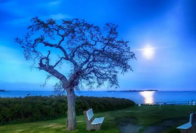 ​鲁滨逊漂流记佳句摘抄