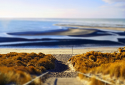 ​如何写读书日记