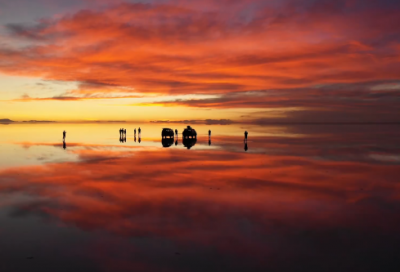 ​毛概收获心得感想