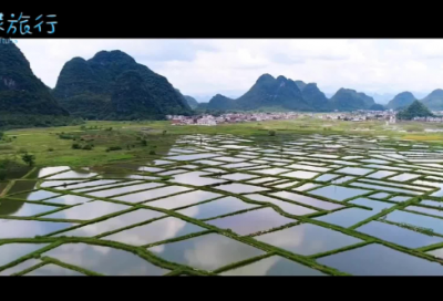 ​地胆头的功效与作用