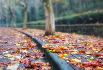 ​有创意的直播间欢迎语