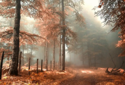 ​端午节的文字150句