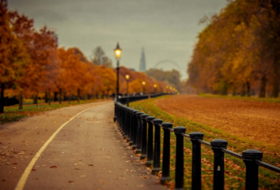 ​优美结尾摘抄精选98句