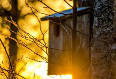 ​母亲节主题标语