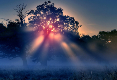 ​安全顺口溜精选269句