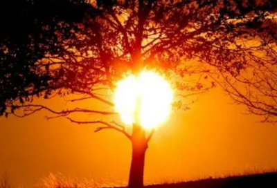 ​关于修养的名句