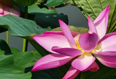 ​六一儿童节朋友圈配图加文字