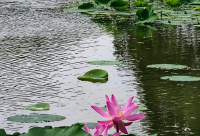 ​300字寒假日记