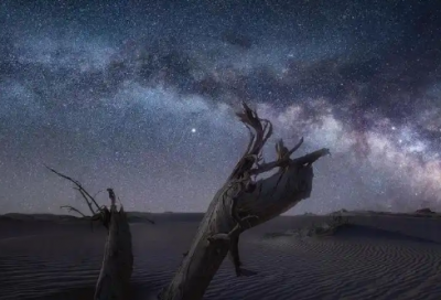 ​辩论赛技巧优选88句