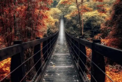 ​念家 李白精选211句