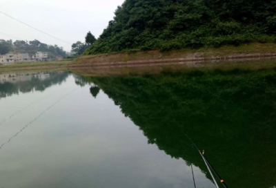 ​关于校园专题广播稿500字