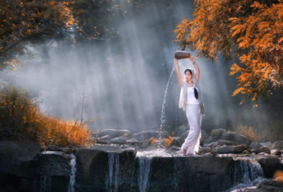 ​目送的读后感300字