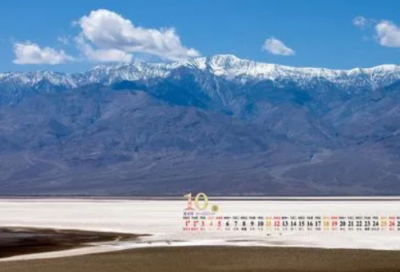 ​描写鲜花的词语