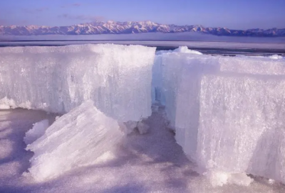 ​老王读后感600字初一
