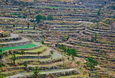 ​化学方程式配平方法技巧归纳