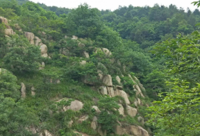 ​读名著的读后感100字