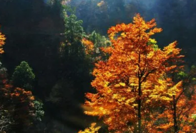 ​钢铁是怎样炼成高中生读后感1000字左右