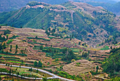 ​关于读书的对联