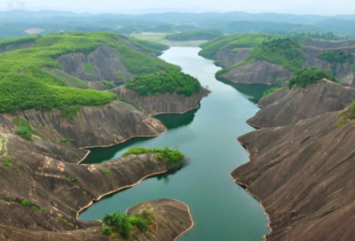 ​植物甾醇的功效与作用
