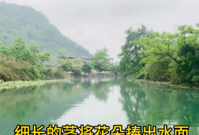 ​关于赞美女人的话