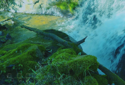 ​霸气好听的团队名字大全