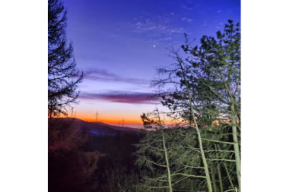 ​曾国藩家训全文及译文