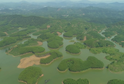 ​奇葩说经典语录