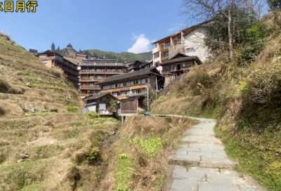 ​透骨草的功效与作用