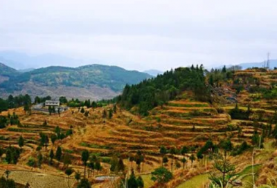 ​经典优秀广告词