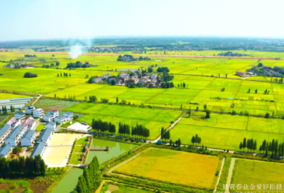 ​竞选演讲稿幽默开场白