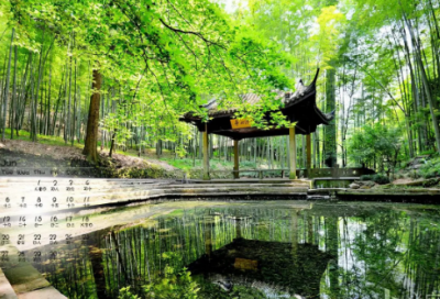 ​《蒙骜伐魏》原文及译文