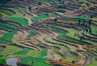 ​收集描写春天的词句