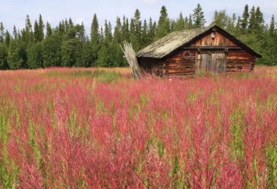 ​仿佛的近义词解析