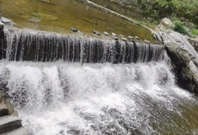 ​玳瑁与海龟的区别