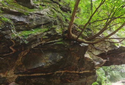 ​如何做人做事？就这三点！